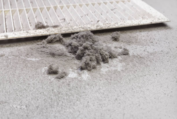 Best Affordable HVAC Duct Cleaning  in West Milton, PA