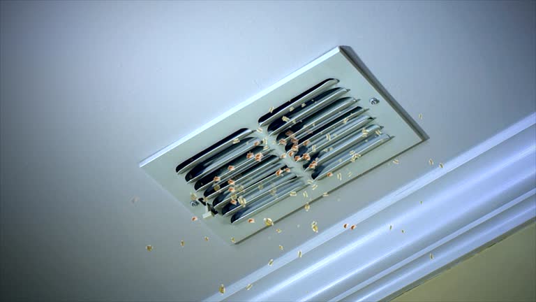 Best HVAC Duct Inspection Services  in West Milton, PA