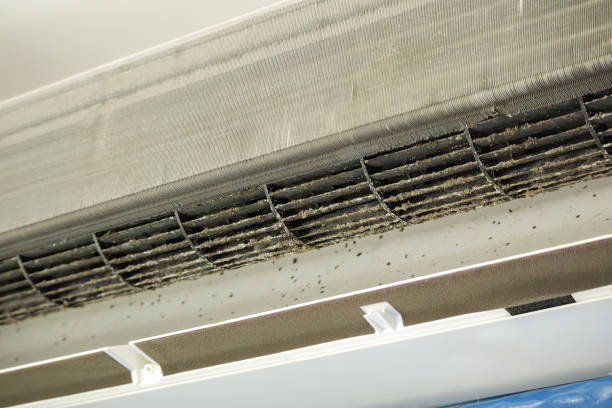 Best Emergency Air Duct Cleaning  in West Milton, PA